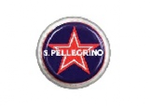 S. Pellegrino 50cl